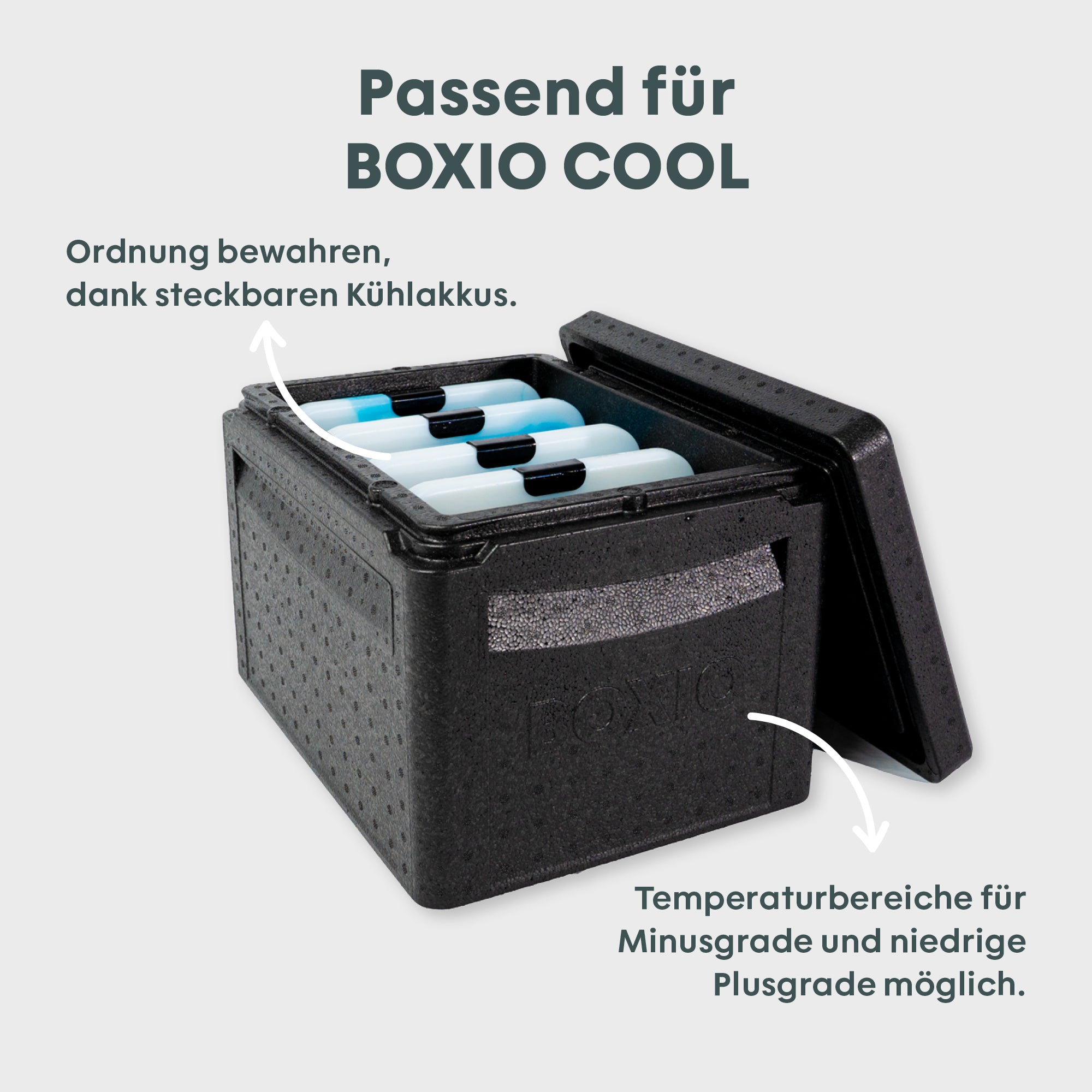 BOXIO COOL PACK in der Kühlbox